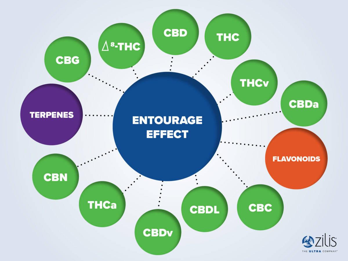 Benefits Of Cannabidiol (CBD) – Zilis Blog