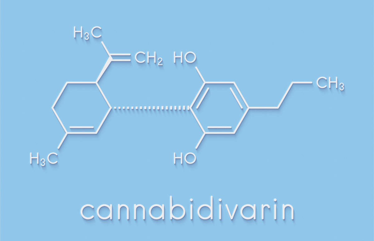 The Rise Of The Varins (THCV & CBDV) – Zilis Blog