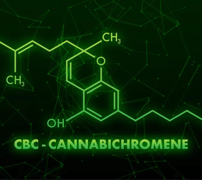 The Remarkable Potential of Cannabichromene (CBC) for Nervous System Health